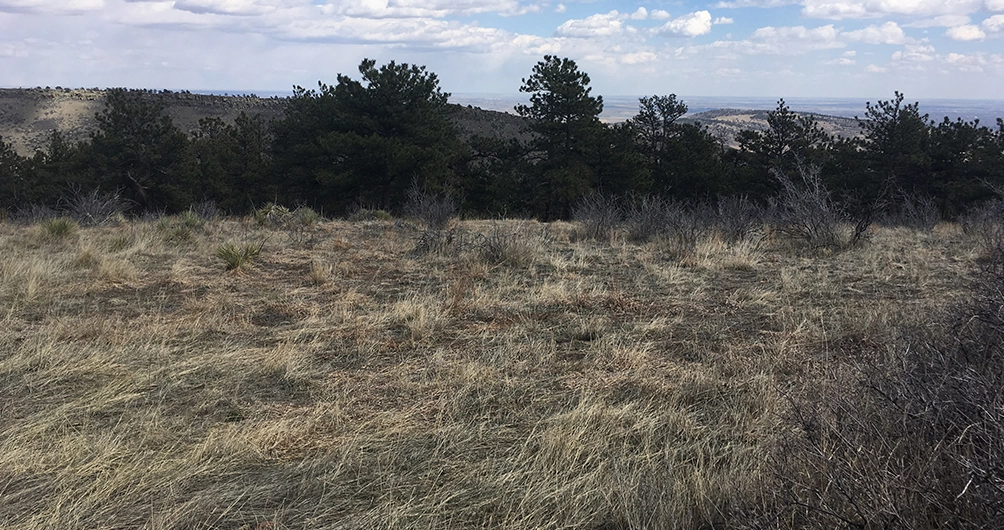 how to buy land to build a house raw land